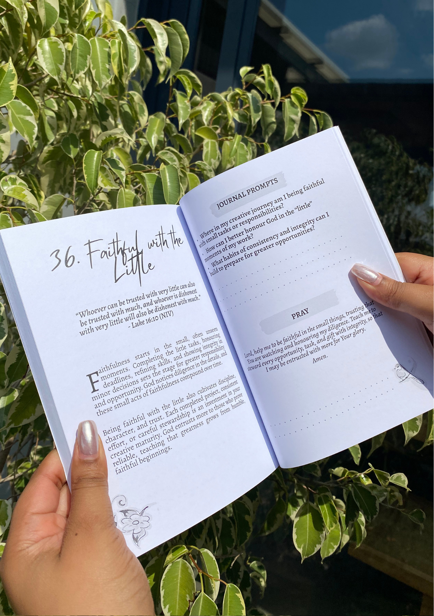 The Faithful Maker (Paperback)